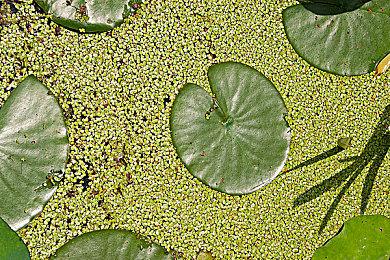 《天命奇御2》获凤凰游戏“国游之光”奖 《仙剑7》获神仙伴侣奖