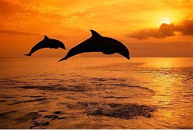 卡牌游戏《The Bazaar》预告 10月开启封测